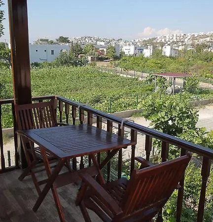 Aparthotel Simay Apart *