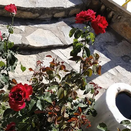 Simay Apart Aparthotel *