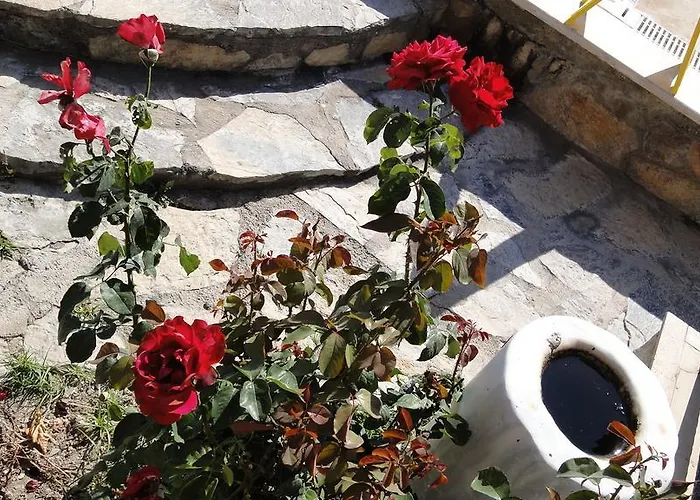 Simay Apart Апарт-отель *